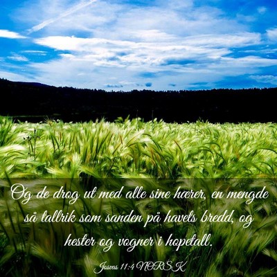Picture 03 - Josvas 11:4 NORSK - Og de drog ut med alle sine hærer, en mengde så - Bible Verse Picture