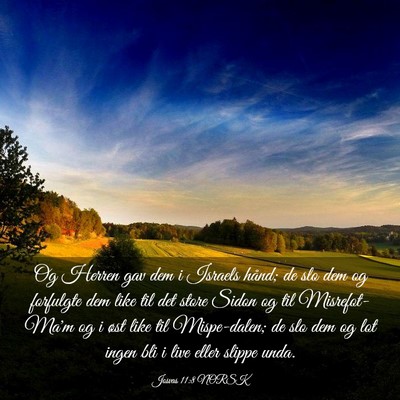 Picture 03 - Josvas 11:8 NORSK - Og Herren gav dem i Israels hånd; de slo dem og - Bible Verse Picture