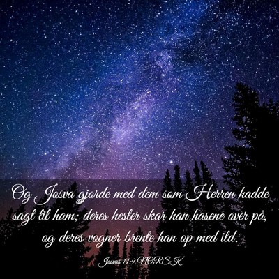Picture 03 - Josvas 11:9 NORSK - Og Josva gjorde med dem som Herren hadde sagt til - Bible Verse Picture