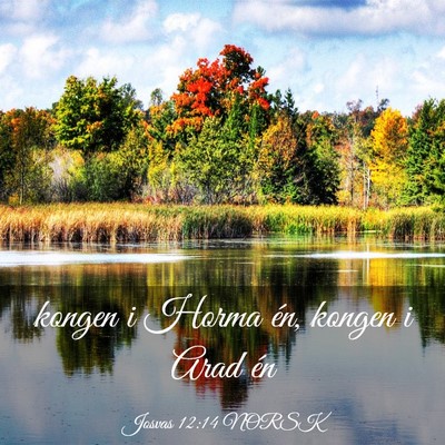 Picture 03 - Josvas 12:14 NORSK - kongen i Horma én, kongen i Arad - Bible Verse Picture