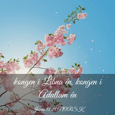 Picture 03 - Josvas 12:15 NORSK - kongen i Libna én, kongen i Adullam - Bible Verse Picture
