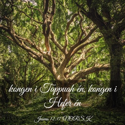 Picture 03 - Josvas 12:17 NORSK - kongen i Tappuah én, kongen i Hefer - Bible Verse Picture