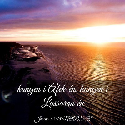 Picture 03 - Josvas 12:18 NORSK - kongen i Afek én, kongen i Lassaron - Bible Verse Picture