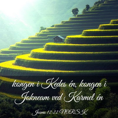Picture 03 - Josvas 12:22 NORSK - kongen i Kedes én, kongen i Jokneam ved Karmel - Bible Verse Picture