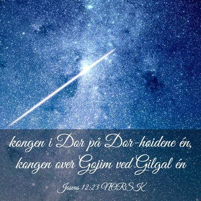 Picture 03 - Josvas 12:23 NORSK - kongen i Dor på Dor-høidene én, kongen over - Bible Verse Picture