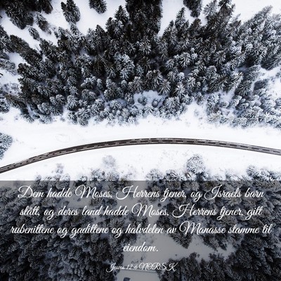 Picture 03 - Josvas 12:6 NORSK - Dem hadde Moses, Herrens tjener, og Israels barn - Bible Verse Picture