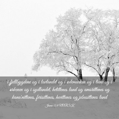 Picture 03 - Josvas 12:8 NORSK - i fjellbygdene og i lavlandet og i ødemarken og - Bible Verse Picture
