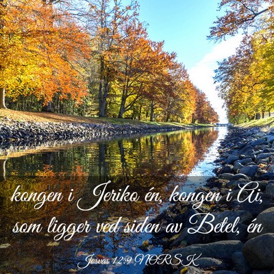 Picture 03 - Josvas 12:9 NORSK - kongen i Jeriko én, kongen i Ai, som ligger ved - Bible Verse Picture
