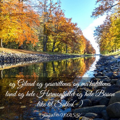 Picture 03 - Josvas 13:11 NORSK - og Gilead og gesurittenes og ma'katittenes land - Bible Verse Picture