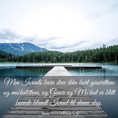 Picture 03 - Josvas 13:13 NORSK - Men Israels barn drev ikke bort gesurittene og - Bible Verse Picture