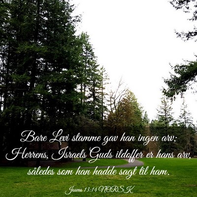 Picture 03 - Josvas 13:14 NORSK - Bare Levi stamme gav han ingen arv; Herrens, - Bible Verse Picture