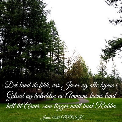Picture 03 - Josvas 13:25 NORSK - Det land de fikk, var Jaser og alle byene i - Bible Verse Picture