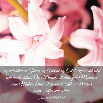 Picture 03 - Josvas 13:31 NORSK - og halvdelen av Gilead, og Astarot og Edre', byer - Bible Verse Picture