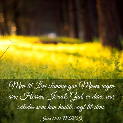 Picture 03 - Josvas 13:33 NORSK - Men til Levi stamme gav Moses ingen arv; Herren, - Bible Verse Picture