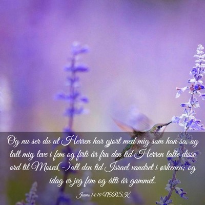 Picture 03 - Josvas 14:10 NORSK - Og nu ser du at Herren har gjort med mig som han - Bible Verse Picture