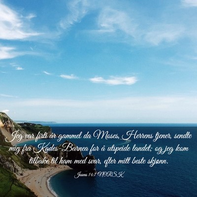 Picture 03 - Josvas 14:7 NORSK - Jeg var firti år gammel da Moses, Herrens - Bible Verse Picture