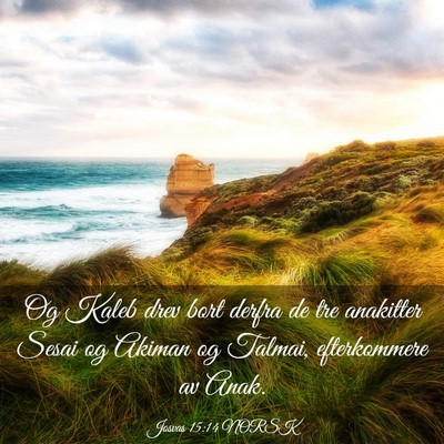 Picture 03 - Josvas 15:14 NORSK - Og Kaleb drev bort derfra de tre anakitter Sesai - Bible Verse Picture