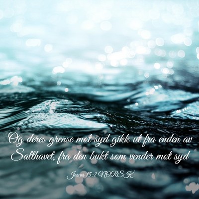 Picture 03 - Josvas 15:2 NORSK - Og deres grense mot syd gikk ut fra enden av - Bible Verse Picture