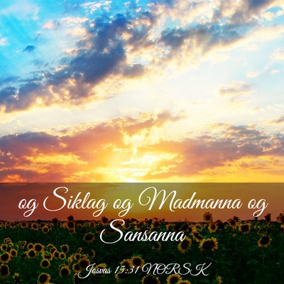 Picture 03 - Josvas 15:31 NORSK - og Siklag og Madmanna og - Bible Verse Picture