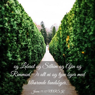 Picture 03 - Josvas 15:32 NORSK - og Lebaot og Silhim og Ajin og Rimmon(-)i alt ni - Bible Verse Picture