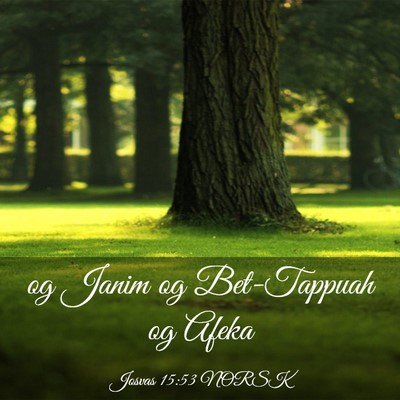 Picture 03 - Josvas 15:53 NORSK - og Janim og Bet-Tappuah og - Bible Verse Picture