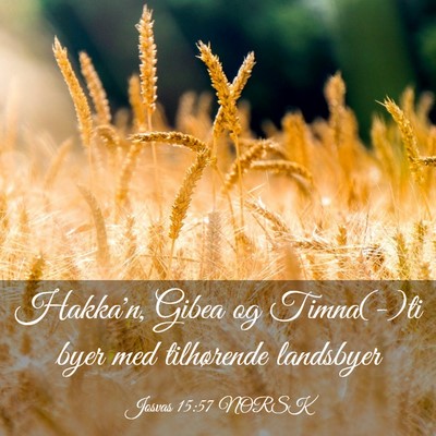 Picture 03 - Josvas 15:57 NORSK - Hakka'n, Gibea og Timna(-)ti byer med tilhørende - Bible Verse Picture