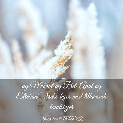Picture 03 - Josvas 15:59 NORSK - og Ma'rat og Bet-Anot og Eltekon(-)seks byer med - Bible Verse Picture