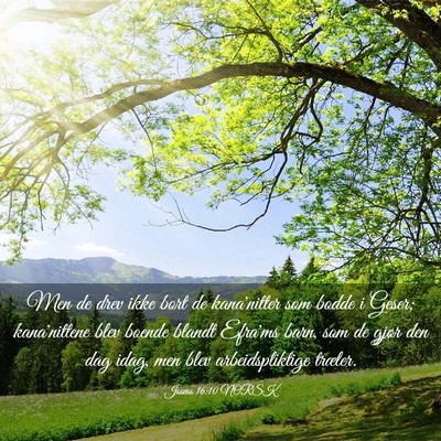 Picture 03 - Josvas 16:10 NORSK - Men de drev ikke bort de kana'nitter som bodde i - Bible Verse Picture