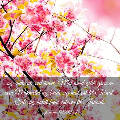 Picture 03 - Josvas 16:6 NORSK - og endte ute ved havet. Mot nord gikk grensen - Bible Verse Picture