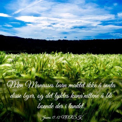 Picture 03 - Josvas 17:12 NORSK - Men Manasses barn maktet ikke å innta disse - Bible Verse Picture