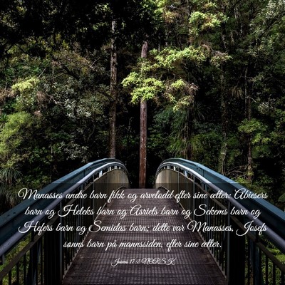 Picture 03 - Josvas 17:2 NORSK - Manasses andre barn fikk og arvelodd efter sine - Bible Verse Picture