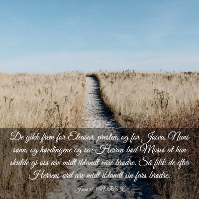 Picture 03 - Josvas 17:4 NORSK - De gikk frem for Eleasar, presten, og for Josva, - Bible Verse Picture