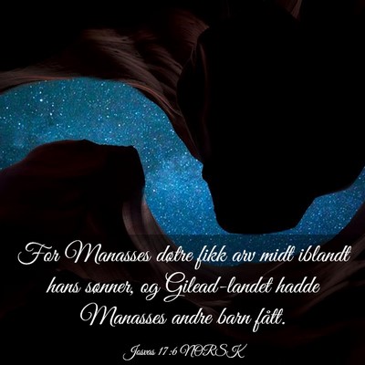 Picture 03 - Josvas 17:6 NORSK - For Manasses døtre fikk arv midt iblandt hans - Bible Verse Picture