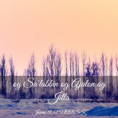 Picture 03 - Josvas 19:42 NORSK - og Sa'labbin og Ajalon og - Bible Verse Picture