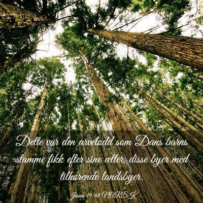 Picture 03 - Josvas 19:48 NORSK - Dette var den arvelodd som Dans barns stamme fikk - Bible Verse Picture