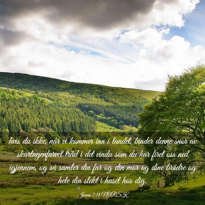 Picture 03 - Josvas 2:18 NORSK - hvis du ikke, når vi kommer inn i landet, binder - Bible Verse Picture