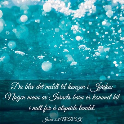 Picture 03 - Josvas 2:2 NORSK - Da blev det meldt til kongen i Jeriko: Nogen menn - Bible Verse Picture