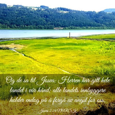 Picture 03 - Josvas 2:24 NORSK - Og de sa til Josva: Herren har gitt hele landet i - Bible Verse Picture