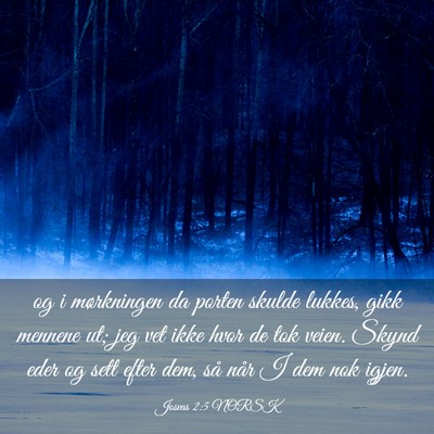 Picture 03 - Josvas 2:5 NORSK - og i mørkningen da porten skulde lukkes, gikk - Bible Verse Picture