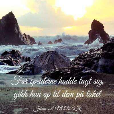 Picture 03 - Josvas 2:8 NORSK - Før speiderne hadde lagt sig, gikk hun op til - Bible Verse Picture