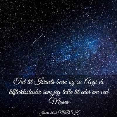 Picture 03 - Josvas 20:2 NORSK - Tal til Israels barn og si: Avgi de - Bible Verse Picture