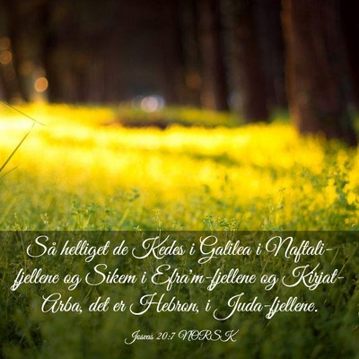 Picture 03 - Josvas 20:7 NORSK - Så helliget de Kedes i Galilea i - Bible Verse Picture