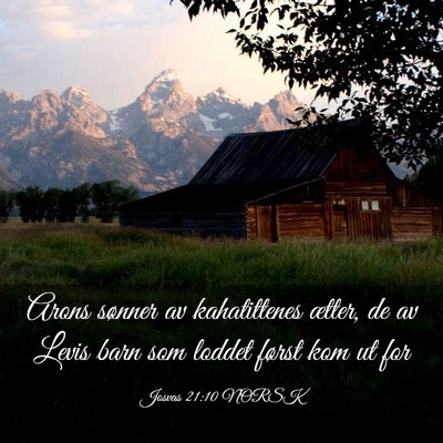 Picture 03 - Josvas 21:10 NORSK - Arons sønner av kahatittenes ætter, de av Levis - Bible Verse Picture