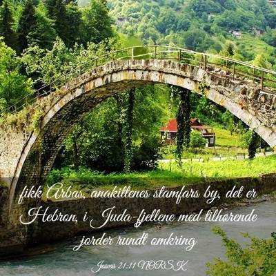 Picture 03 - Josvas 21:11 NORSK - fikk Arbas, anakittenes stamfars by, det er - Bible Verse Picture
