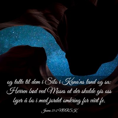 Picture 03 - Josvas 21:2 NORSK - og talte til dem i Silo i Kana'ns land og sa: - Bible Verse Picture