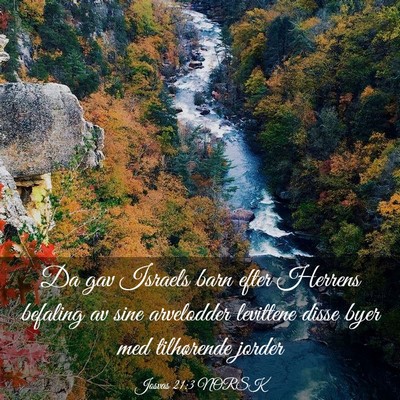 Picture 03 - Josvas 21:3 NORSK - Da gav Israels barn efter Herrens befaling av - Bible Verse Picture