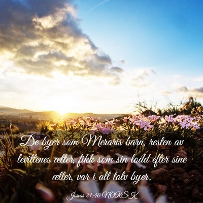 Picture 03 - Josvas 21:40 NORSK - De byer som Meraris barn, resten av levittenes - Bible Verse Picture