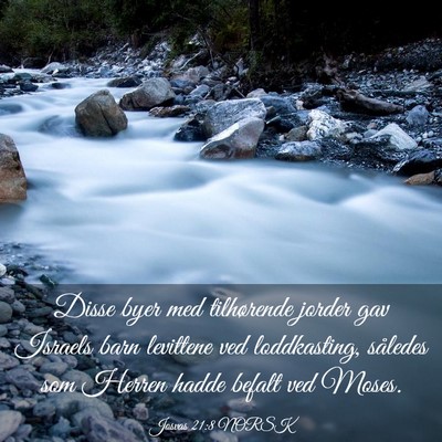Picture 03 - Josvas 21:8 NORSK - Disse byer med tilhørende jorder gav Israels - Bible Verse Picture