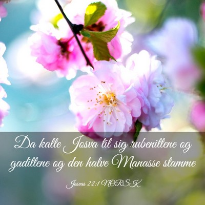 Picture 03 - Josvas 22:1 NORSK - Da kalte Josva til sig rubenittene og gadittene - Bible Verse Picture