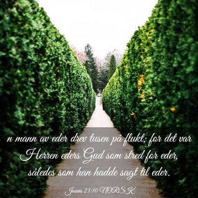 Picture 03 - Josvas 23:10 NORSK - n mann av eder drev tusen på flukt; for det var - Bible Verse Picture